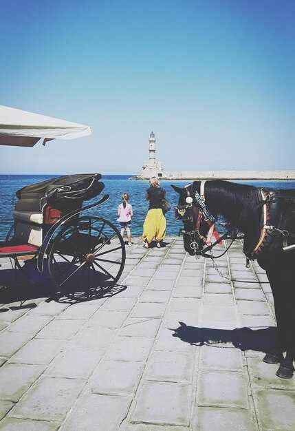 Hagia Sophia and Nearby Sights: Accessible Entry, Ramps, and Viewing Positions