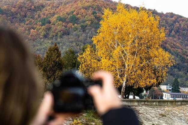 Heybeliada: Island light, ferry timing, and hidden fall photography spots