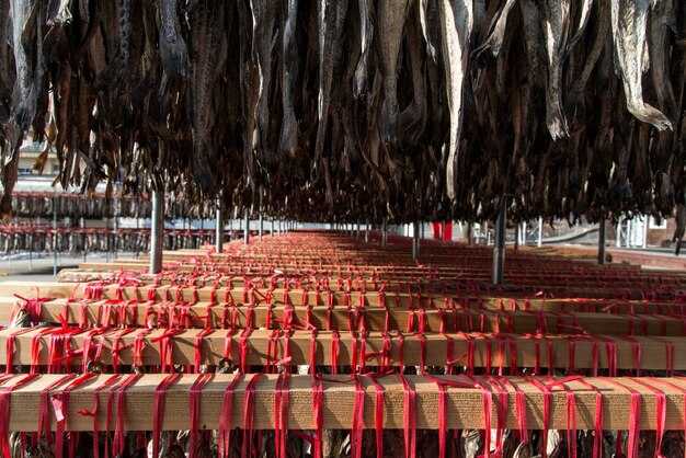 Determine Ideal Venue Type for Your Event Size in Istanbul