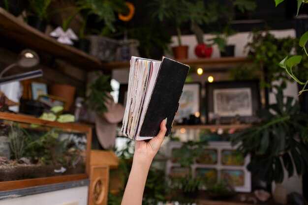 Evaluate Floor Plans and Capacity: Quick Vitals for Istanbul Spaces