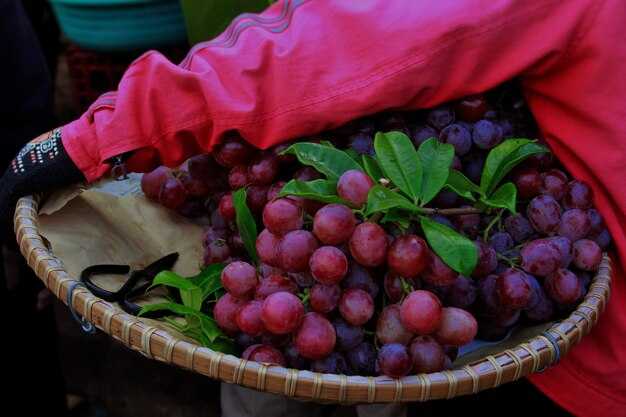 Indigenous Turkish Wine Grapes: A Practical Overview
