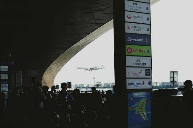 Ground handling, security, and passenger experience