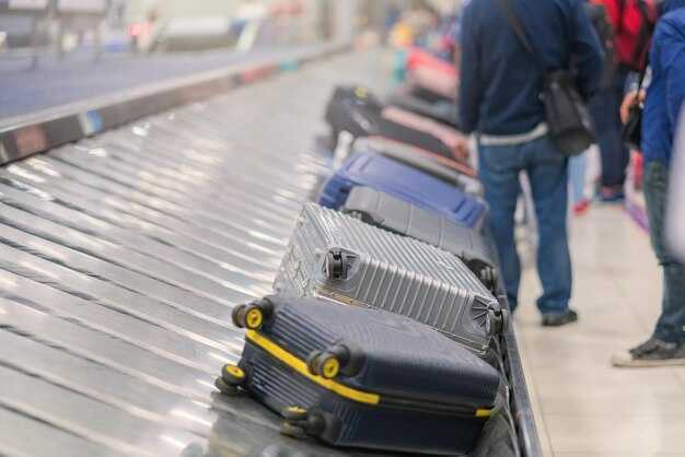 Luggage Carts and Luggage Wrapping at Istanbul Airport (IST) – A Practical Guide