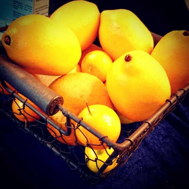Mangodo – IGA – A Comprehensive Guide to Mangodo Products at IGA Stores