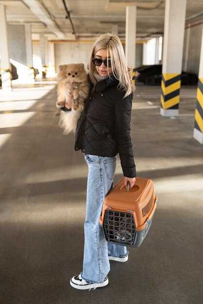 Where to find the paw-sitive stations in the terminals