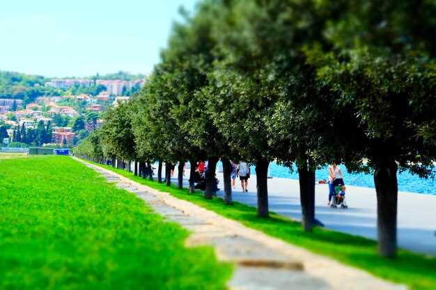Seaside parks along the Bosphorus for walks, picnics, and sunset views