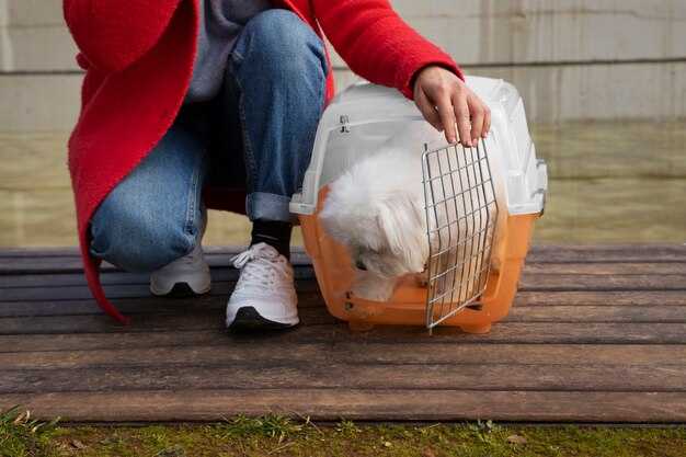 Required Legal Documents: Import Permit, Pet Passport, and Vet Records