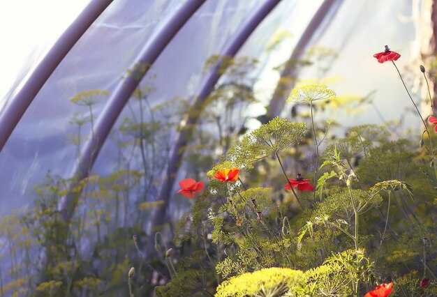 Where to Find Botanical and Nature Areas in Istanbul Airport