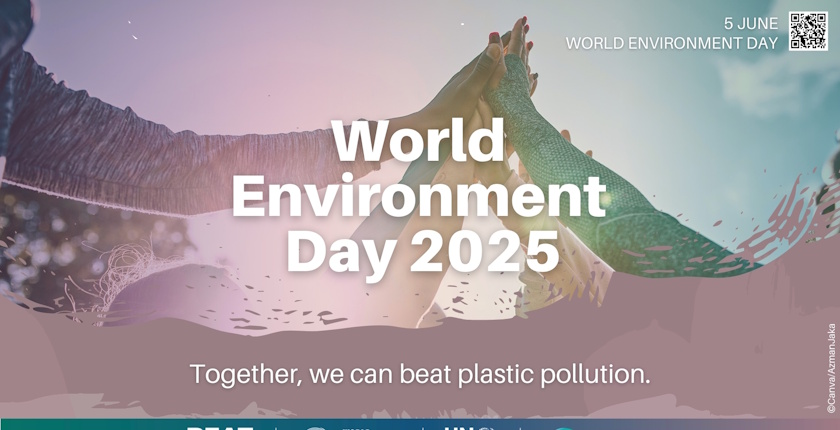 Addressing Plastic Waste and Its Impact on Istanbul’s Aviation Sector