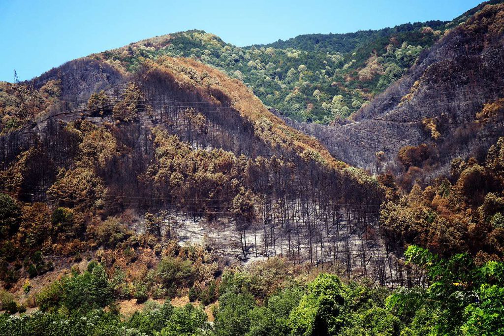 Transforming Fethiye: Environmental Efforts and Tourism Trends