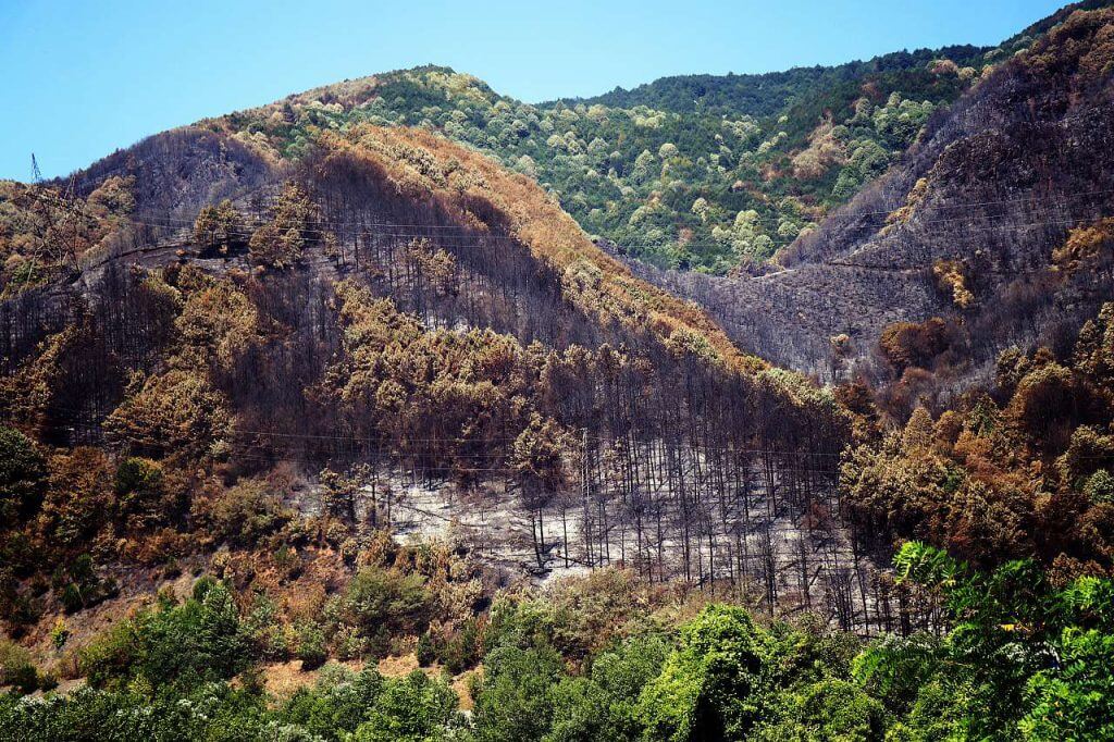 Transforming Fethiye: Environmental Efforts and Tourism Trends